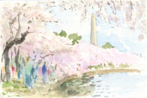 Cherry Blossoms 2014-02