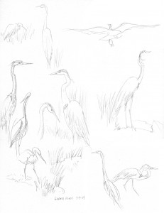 2014-05-04 Brookside heron
